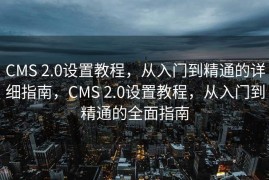 CMS 2.0设置教程，从入门到精通的详细指南，CMS 2.0设置教程，从入门到精通的全面指南
