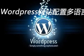 Wordpress网站配置多语言