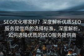 SEO优化哪家好？深度解析优质SEO服务提供商的选择标准，深度解析，如何选择优质的SEO服务提供商