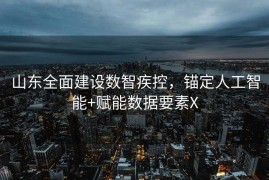 山东全面建设数智疾控，锚定人工智能+赋能数据要素X