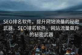 SEO排名软件，提升网站流量的秘密武器，SEO排名软件，网站流量飙升的秘密武器