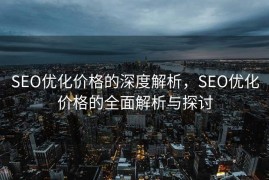 SEO优化价格的深度解析，SEO优化价格的全面解析与探讨