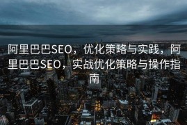 阿里巴巴SEO，优化策略与实践，阿里巴巴SEO，实战优化策略与操作指南