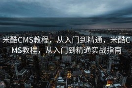 深圳SEO，探索搜索引擎优化的前沿，深圳SEO，探索搜索引擎优化的最新前沿实践