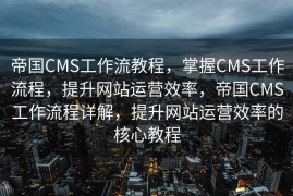 SEO优化的关键方向与实践策略，SEO优化的核心方向与实践策略探讨