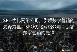 SEO优化网络公司，引领数字营销的先锋力量，SEO优化网络公司，引领数字营销的先锋