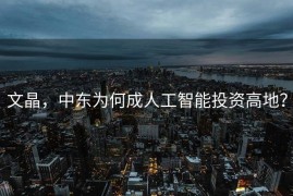 文晶，中东为何成人工智能投资高地？