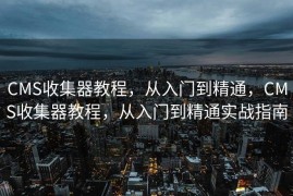 CMS收集器教程，从入门到精通，CMS收集器教程，从入门到精通实战指南