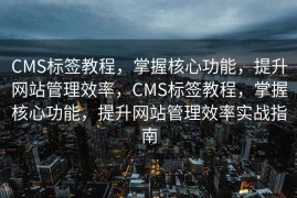 CMS标签教程，掌握核心功能，提升网站管理效率，CMS标签教程，掌握核心功能，提升网站管理效率实战指南