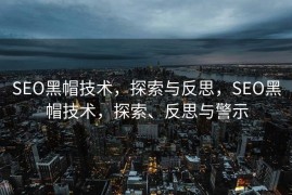 SEO黑帽技术，探索与反思，SEO黑帽技术，探索、反思与警示