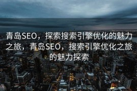 青岛SEO，探索搜索引擎优化的魅力之旅，青岛SEO，搜索引擎优化之旅的魅力探索