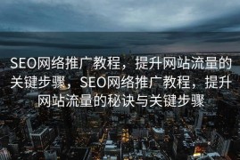 SEO网络推广教程，提升网站流量的关键步骤，SEO网络推广教程，提升网站流量的秘诀与关键步骤