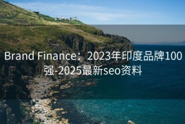 Brand Finance：2023年印度品牌100强-2025最新seo资料
