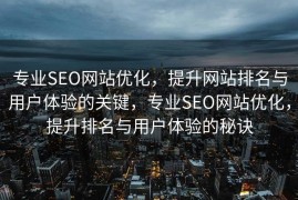 专业SEO网站优化，提升网站排名与用户体验的关键，专业SEO网站优化，提升排名与用户体验的秘诀