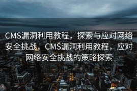 CMS漏洞利用教程，探索与应对网络安全挑战，CMS漏洞利用教程，应对网络安全挑战的策略探索
