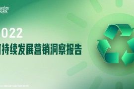 秒针系统：2022可持续发展营销洞察报告-2025最新seo资料
