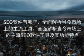 SEO软件有哪些，全面解析当今市场上的主流工具，全面解析当今市场上的主流SEO软件工具及其功能特点