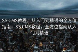 SS CMS教程，从入门到精通的全方位指南，SS CMS教程，全方位指南从入门到精通