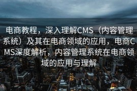 电商教程，深入理解CMS（内容管理系统）及其在电商领域的应用，电商CMS深度解析，内容管理系统在电商领域的应用与理解
