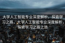 大学人工智能专业深度解析，探索学习之路，大学人工智能专业深度解析，探索学习之路之旅