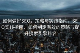 如何做好SEO，策略与实践指南，SEO实践指南，如何制定有效的策略与提升搜索引擎排名