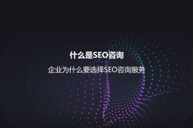什么是SEO咨询？企业为什么要选择SEO咨询服务-2025最新seo资料