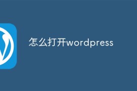 怎么打开wordpress