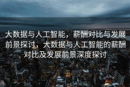 大数据与人工智能，薪酬对比与发展前景探讨，大数据与人工智能的薪酬对比及发展前景深度探讨