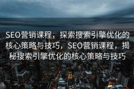 SEO营销课程，探索搜索引擎优化的核心策略与技巧，SEO营销课程，揭秘搜索引擎优化的核心策略与技巧