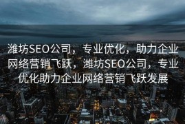 潍坊SEO公司，专业优化，助力企业网络营销飞跃，潍坊SEO公司，专业优化助力企业网络营销飞跃发展