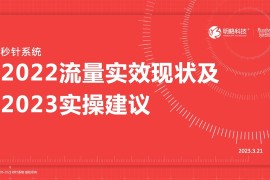 秒针系统：2022流量实效现状及2023实操建议-2025最新seo资料