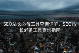 SEO站长必备工具查询详解，SEO站长必备工具查询指南