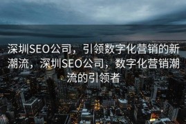 深圳SEO公司，引领数字化营销的新潮流，深圳SEO公司，数字化营销潮流的引领者