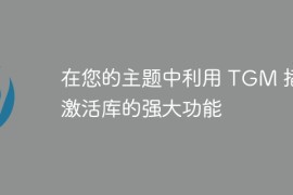 在您的主题中利用 TGM 插件激活库的强大功能