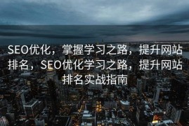 SEO优化，掌握学习之路，提升网站排名，SEO优化学习之路，提升网站排名实战指南