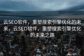 云SEO软件，重塑搜索引擎优化的未来，云SEO软件，重塑搜索引擎优化的未来之路
