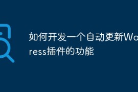 如何开发一个自动更新WordPress插件的功能