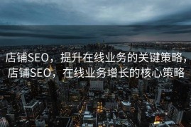 店铺SEO，提升在线业务的关键策略，店铺SEO，在线业务增长的核心策略