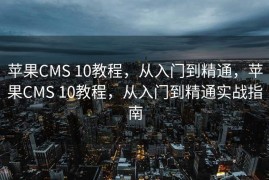 SEO问答，解密搜索引擎优化的秘密，SEO问答大解密，探索搜索引擎优化的神秘面纱