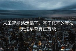 人工智能路走偏了，基于概率的算法无法孕育真正智能