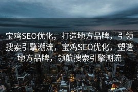 宝鸡SEO优化，打造地方品牌，引领搜索引擎潮流，宝鸡SEO优化，塑造地方品牌，领航搜索引擎潮流