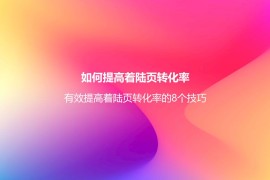 如何提高着陆页转化率？有效提高着陆页转化率的8个技巧-2025最新seo资料