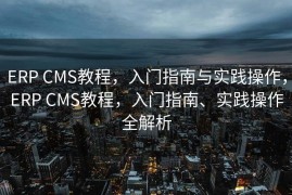 ERP CMS教程，入门指南与实践操作，ERP CMS教程，入门指南、实践操作全解析
