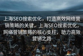 上海SEO搜索优化，打造高效网络营销策略的关键，上海SEO搜索优化，网络营销策略的核心支柱，助力高效营销之路