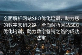 全面解析网站SEO优化培训，助力您的数字营销之路，全面解析网站SEO优化培训，助力数字营销之路的成功法宝