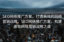 SEO网络推广方案，打造高效的网络营销战略，SEO网络推广方案，构建高效网络营销战略之道