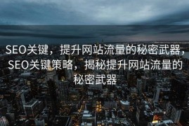 SEO关键，提升网站流量的秘密武器，SEO关键策略，揭秘提升网站流量的秘密武器
