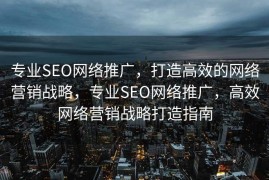 专业SEO网络推广，打造高效的网络营销战略，专业SEO网络推广，高效网络营销战略打造指南