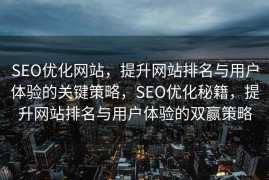 SEO优化网站，提升网站排名与用户体验的关键策略，SEO优化秘籍，提升网站排名与用户体验的双赢策略