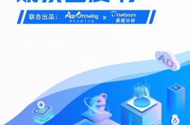 App Growing&易观：2021移动广告流量白皮书-2025最新seo资料